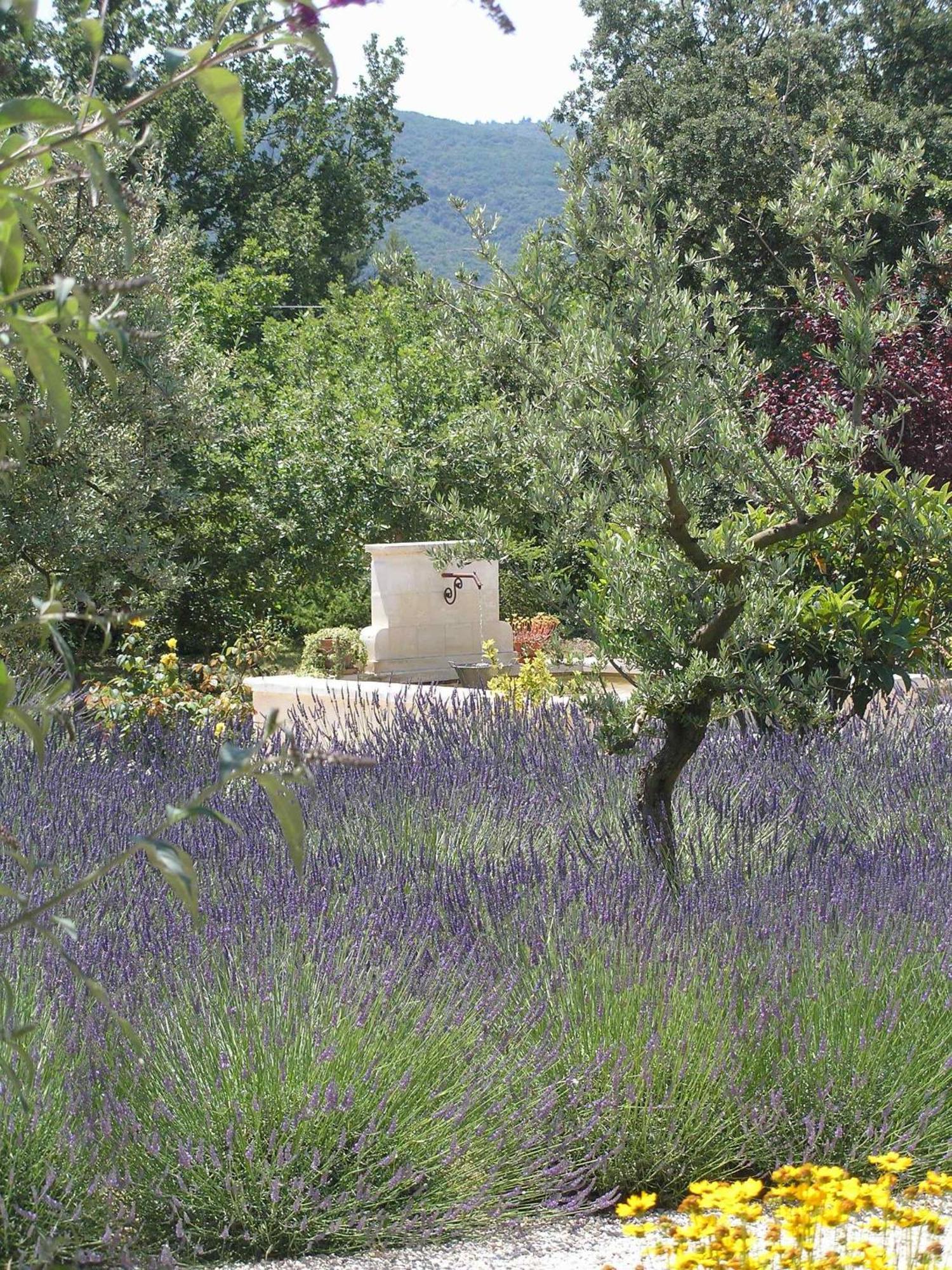 Clos Des Lavandes - Chambres Et Suites De Charme Climatisees-Luberon Lacoste  Exterior photo