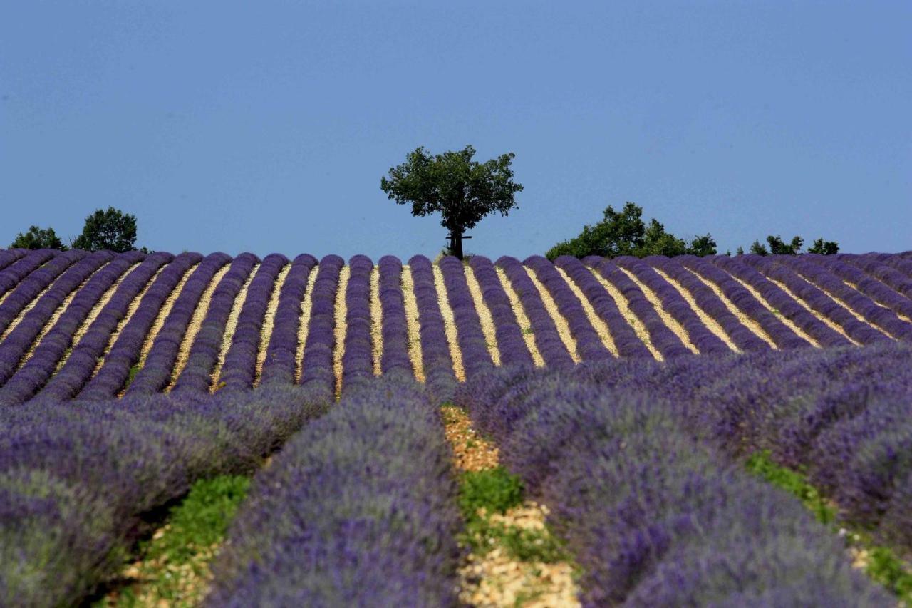 Clos Des Lavandes - Chambres Et Suites De Charme Climatisees-Luberon Lacoste  Exterior photo