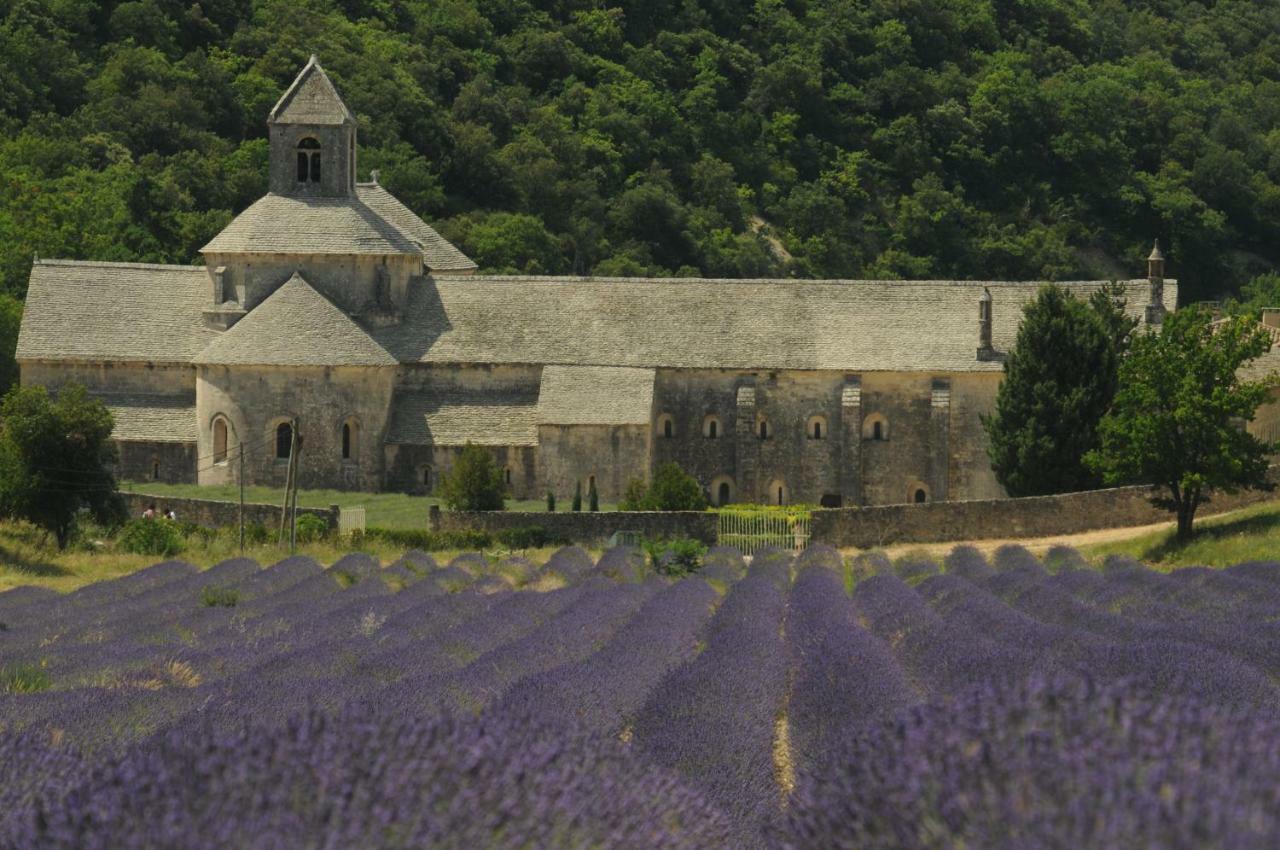 Clos Des Lavandes - Chambres Et Suites De Charme Climatisees-Luberon Lacoste  Exterior photo
